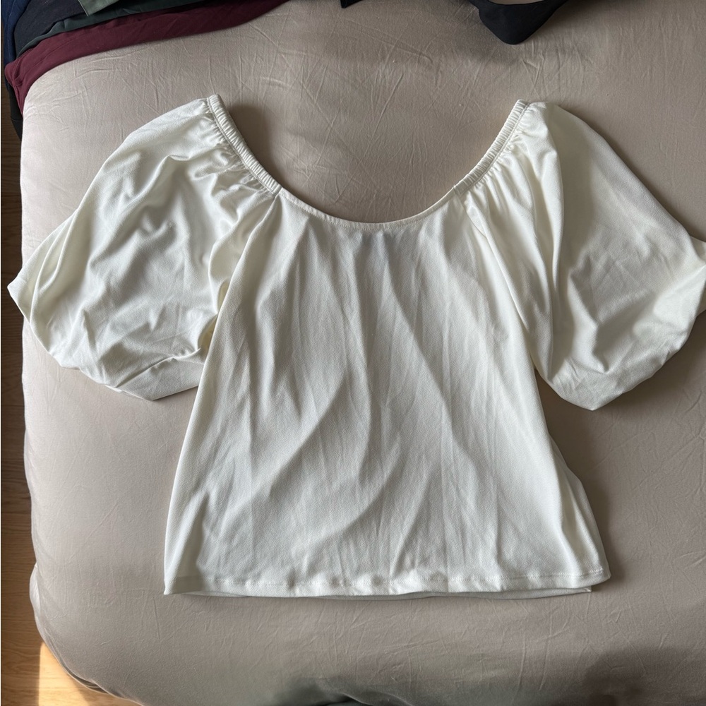 Elegant Cream Puff Sleeve Blouse